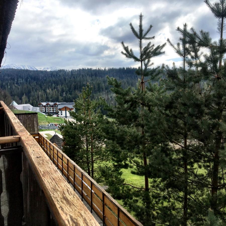 Bukova Lodge 布库维纳塔然斯卡 外观 照片